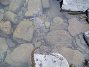 Blackfeet Environmental Water Quality